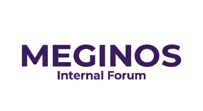 MEGINOS TEAM